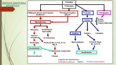 remit cirurgia|resposta endócrino metabólica ao trauma.
